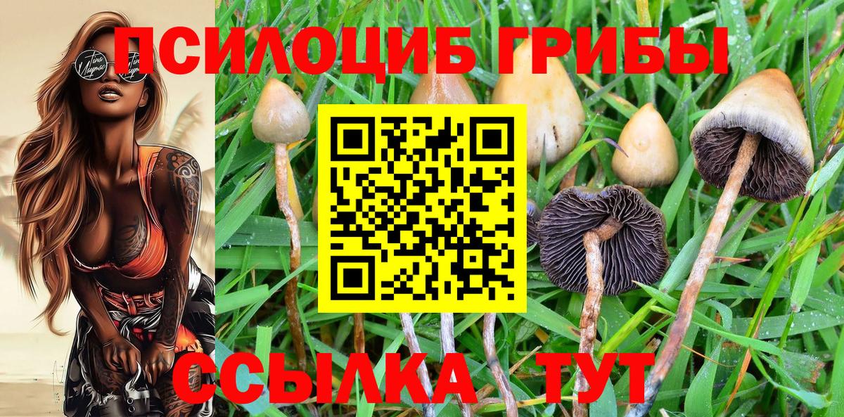 Галлюциногенные грибы Magic Shrooms  Вход с VPN  Кемерово 